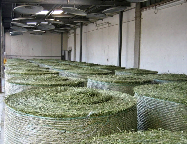 Rhodes hay