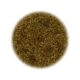 Cumin seed whole 100 g