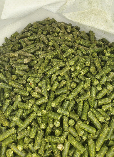 Alfalfa Pellets and Cubes
